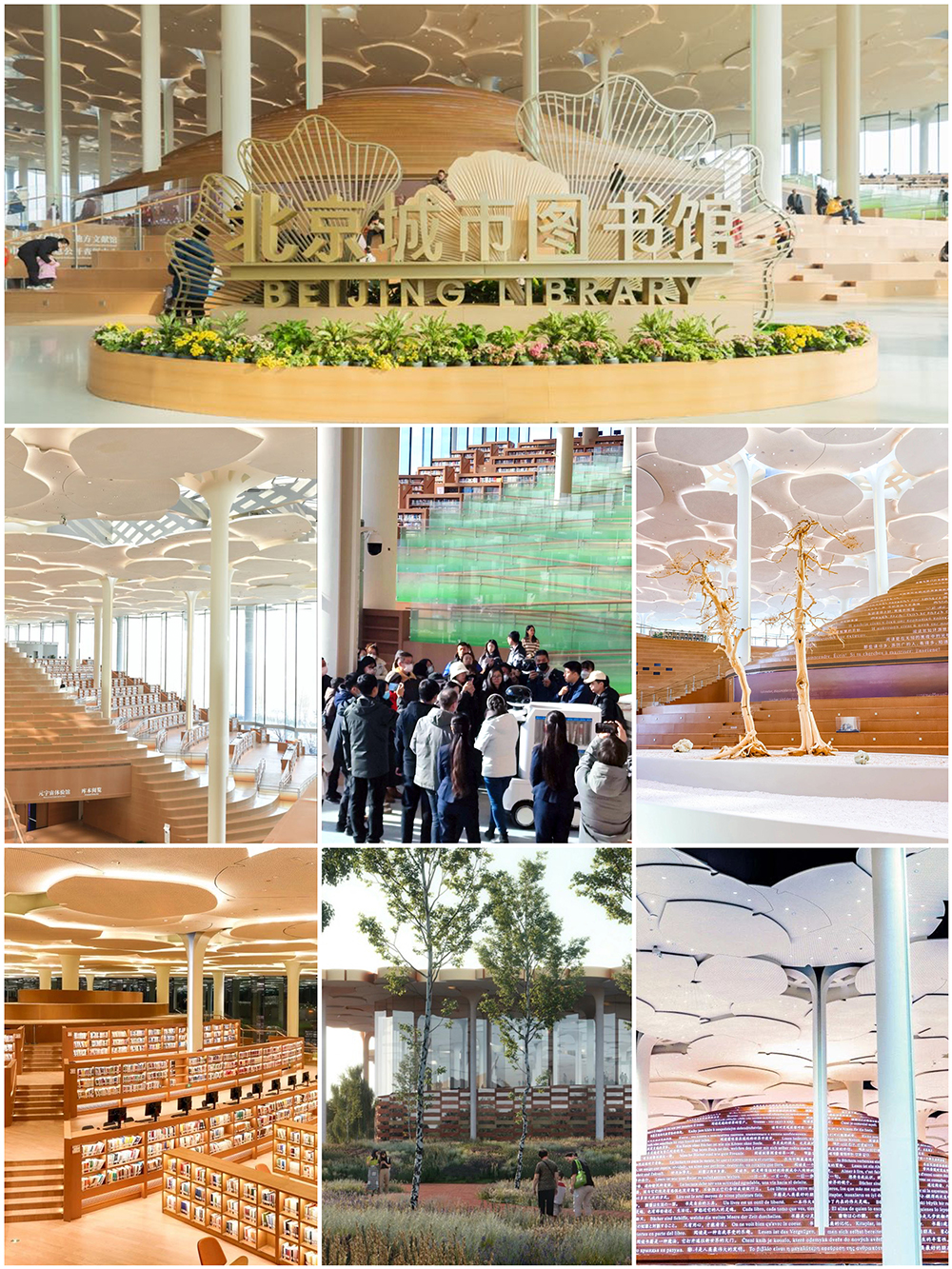 1708330669762467.jpg 1.jpg